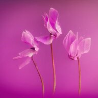 Забег Трейл открытия весны 