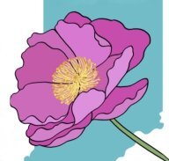 Забег Трейл «Дикие пионы»