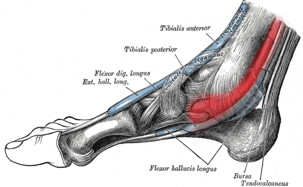 Растяжение мышц на ноге икры, симптомы, лечение в Москве | Добромед