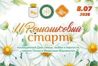 Забег Ромашковый Старт
