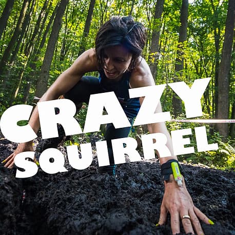 Забег Crazy Squirrel OCR