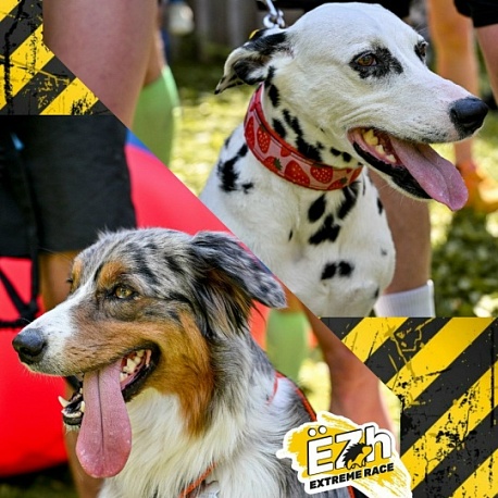 Забег Gavki Spring Race