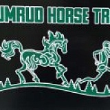 Изумрудный забег, Уссурийск