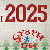 Полумарафон Сузунской сибирской монеты, Сузун