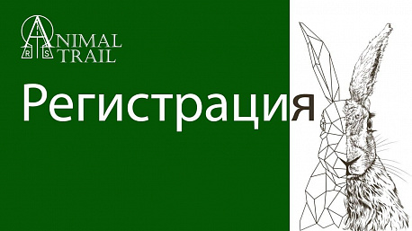 Забег Animal Trail забег “Погоня за зайцем”