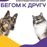 Благотворительный забег 