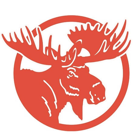 Забег Фестиваль спорта «Демино Фест»