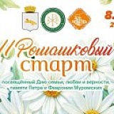 Ромашковый Старт, Шадринск