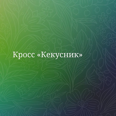 Забег Кросс «Кекусник»