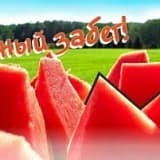 Арбузный Забег Кубка Runtime, Екатеринбург