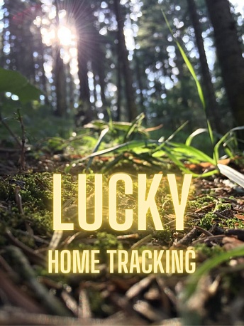 Забег Домашний трейл Lucky — версия 2.0