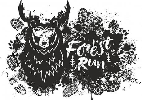 Забег Forest Run Mytischi Trail