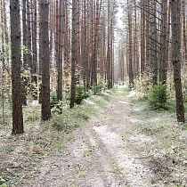 галерея