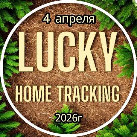 Забег Домашний трейл 