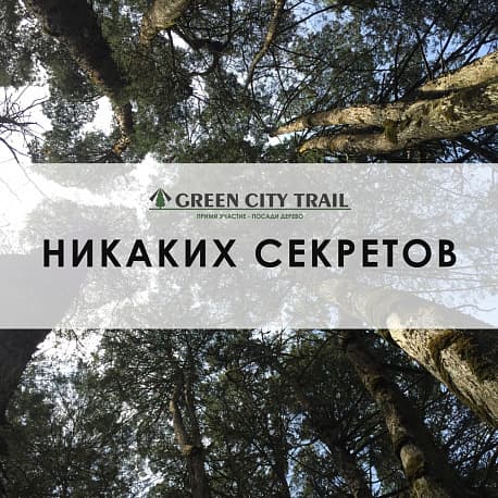 Забег Green City Trail