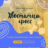 Благотворительный забег 