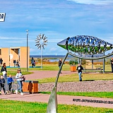 Стрельнинский забег, Санкт-Петербург