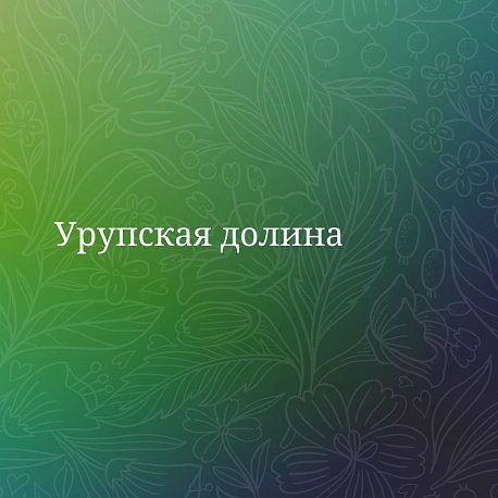 Забег Урупская долина