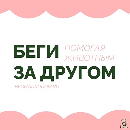 Забег Беги за другом