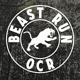 Гонка с препятствиями «Beast run OCR», Раменское