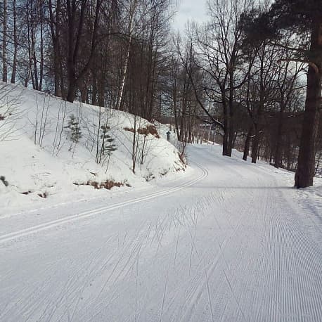 Забег Красногорский марафон